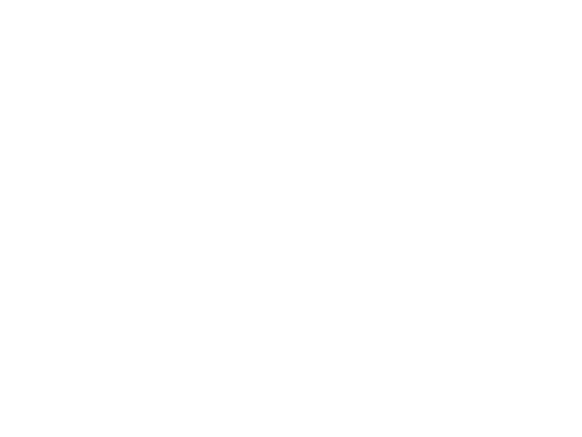 D&B Intralogistic