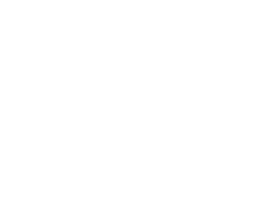 Nival Logistics